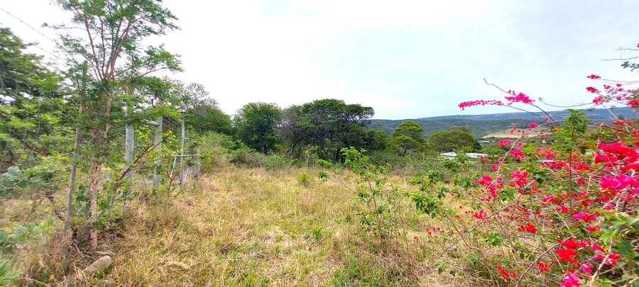 5 Bedroom Property for Sale in Kwelera Eastern Cape